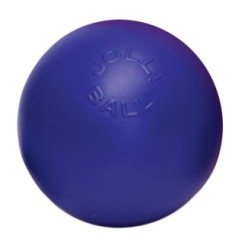 Jouet pour chien Jolly Pousse-et-Joue Bleu M - Amusant et interactif