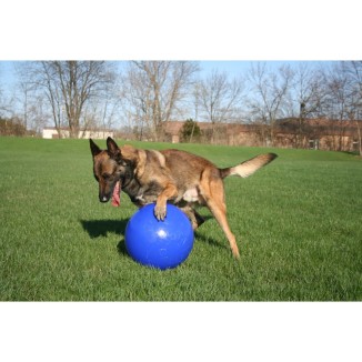 Jouet pour chien Jolly Pousse-et-Joue Bleu M - Amusant et interactif