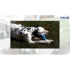 Os Jolly S - Jouet pour Chien 19.1x9.5x3.2 cm