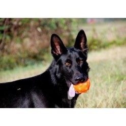 Jouet Jolly Jumper Orange S pour chien, 10.2x8.9x7.6 cm