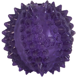 JW Chiot - Balle de cactus Bristl-ee pour Chien
