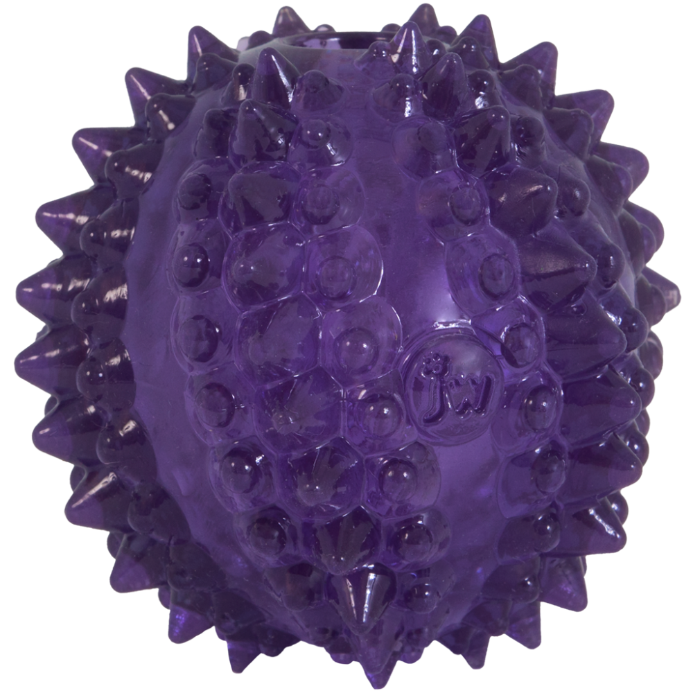 JW Chiot - Balle de cactus Bristl-ee pour Chien