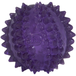 JW Chiot - Balle de cactus Bristl-ee pour Chien