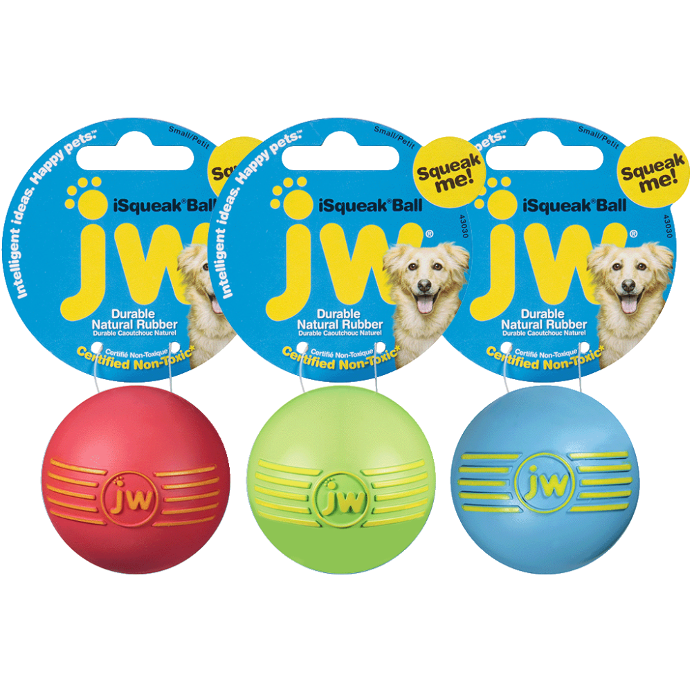 Nouveau JW iSqueak Ball S - 5 cm pour Chien