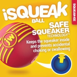 Nouveau JW iSqueak Ball S - 5 cm pour Chien
