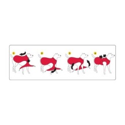 Manteau Dog Armor Knockdown XXXXS (20 cm) - Protection Insectes