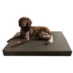 Matelas orthopédique pour chien nettoyable
