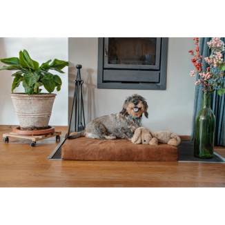 Matelas orthopédique pour chien Let's Sleep Mellow Bed M Taupe