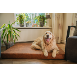 Matelas orthopédique pour chien Let's Sleep Mellow Bed M Taupe