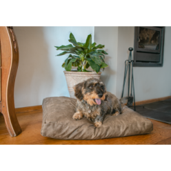 Lit pour chien en peluche Let's Sleep - Confort et style pour votre fidèle compagnon