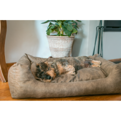 Panier pour chien Let's Sleep: doux rêves avec coussin L Taupe