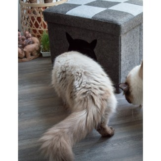 Dormons Pet Cube Clair/Gris Foncé - Confort pour votre chat, Marque Let's Sleep