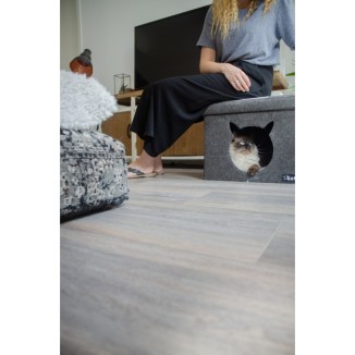 Dormons Pet Cube Clair/Gris Foncé - Confort pour votre chat, Marque Let's Sleep