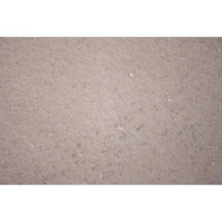 Excellent Licosan Forte 1 kg pour chevaux