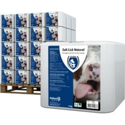 Excellent Bloc de sel naturel pour tous les animau | Professionnel