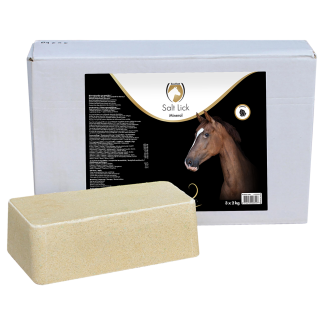 Excellent Bloc de sel minéral pour chevaux 3 x 2 k | Professionnel