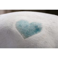 Enchantez votre cheval avec le spray pailleté Lucky Horse licorne 🦄