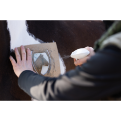 Lucky Horse Unicorn Glitter Spray Vert | Professionnel