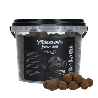 Délicieuses boulettes de saumon sans gluten pour chien Luna's Choice (500g)