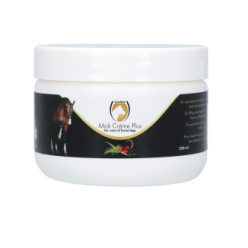 Excellent Crème Gale de Boue pour Chevaux 250 ml
