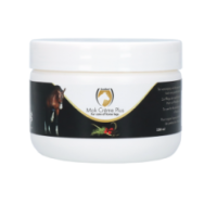 Excellent Crème Gale de Boue pour Chevaux 250 ml