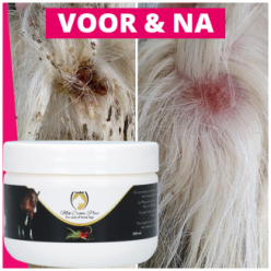 Excellent Crème Gale de Boue pour Chevaux 250 ml