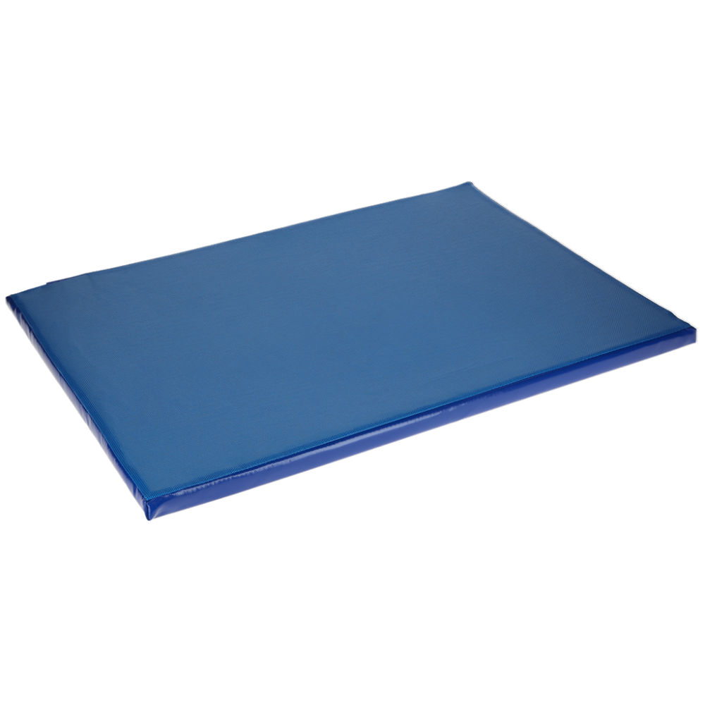 Tapis de désinfection | Professionnel