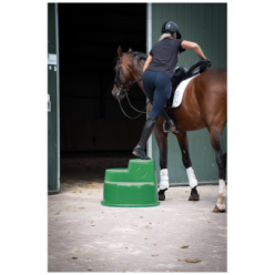 Excellent Bloc d'Équitation à 3 Marches, Montoir I | Professionnel