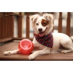 Découvrez le Jouet Interactif Outward Hound Orbee-Tuff Snoop Rouge S