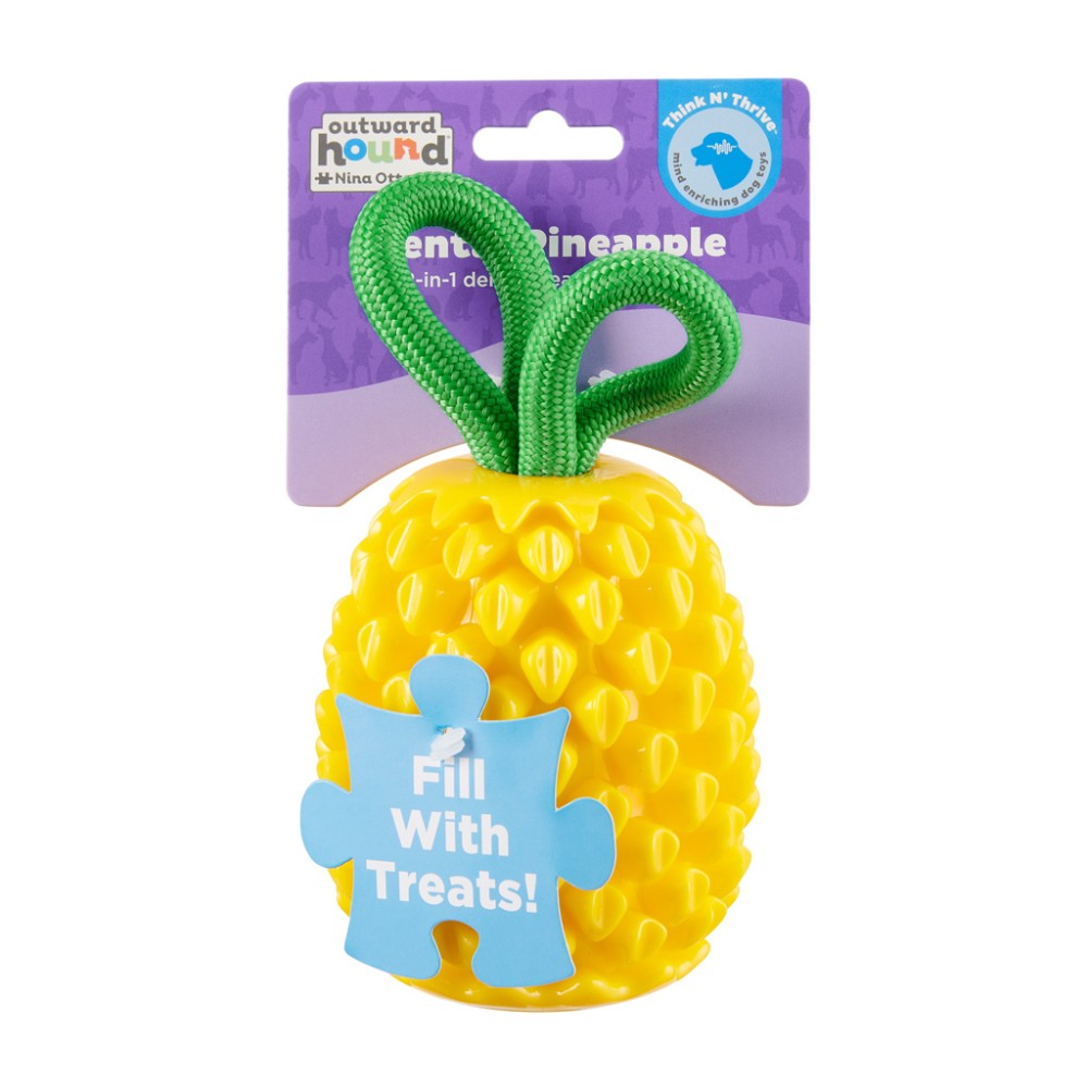 Jouet Ananas Dentaire pour Chien par Outward Hound