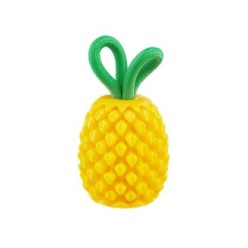 Jouet Ananas Dentaire pour Chien par Outward Hound