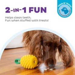 Jouet Ananas Dentaire pour Chien par Outward Hound