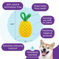 Jouet Ananas Dentaire pour Chien par Outward Hound