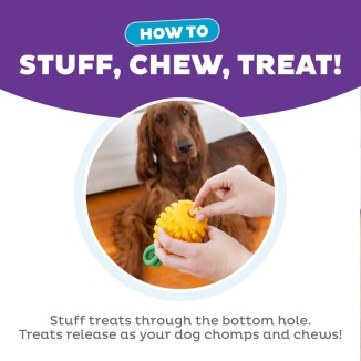 Jouet Ananas Dentaire pour Chien par Outward Hound