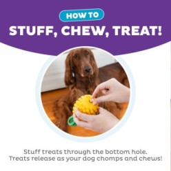 Jouet Ananas Dentaire pour Chien par Outward Hound