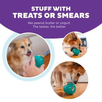 Jouet résistant pour chien: Outward Hound Double Tuff M Bleu