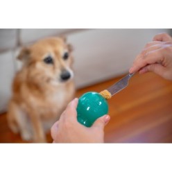 Jouet résistant pour chien: Outward Hound Double Tuff M Bleu
