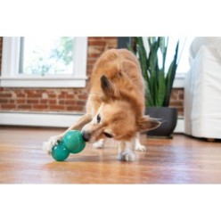 Jouet résistant pour chien: Outward Hound Double Tuff M Bleu