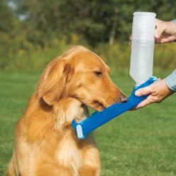 Bouteille de Voyage Pawise 500 ml pour Chien