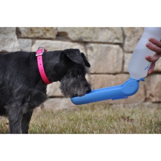 Bouteille de Voyage Pawise 500 ml pour Chien