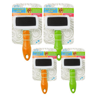 Brosse Carde pour Chien Pawise - Petite taille