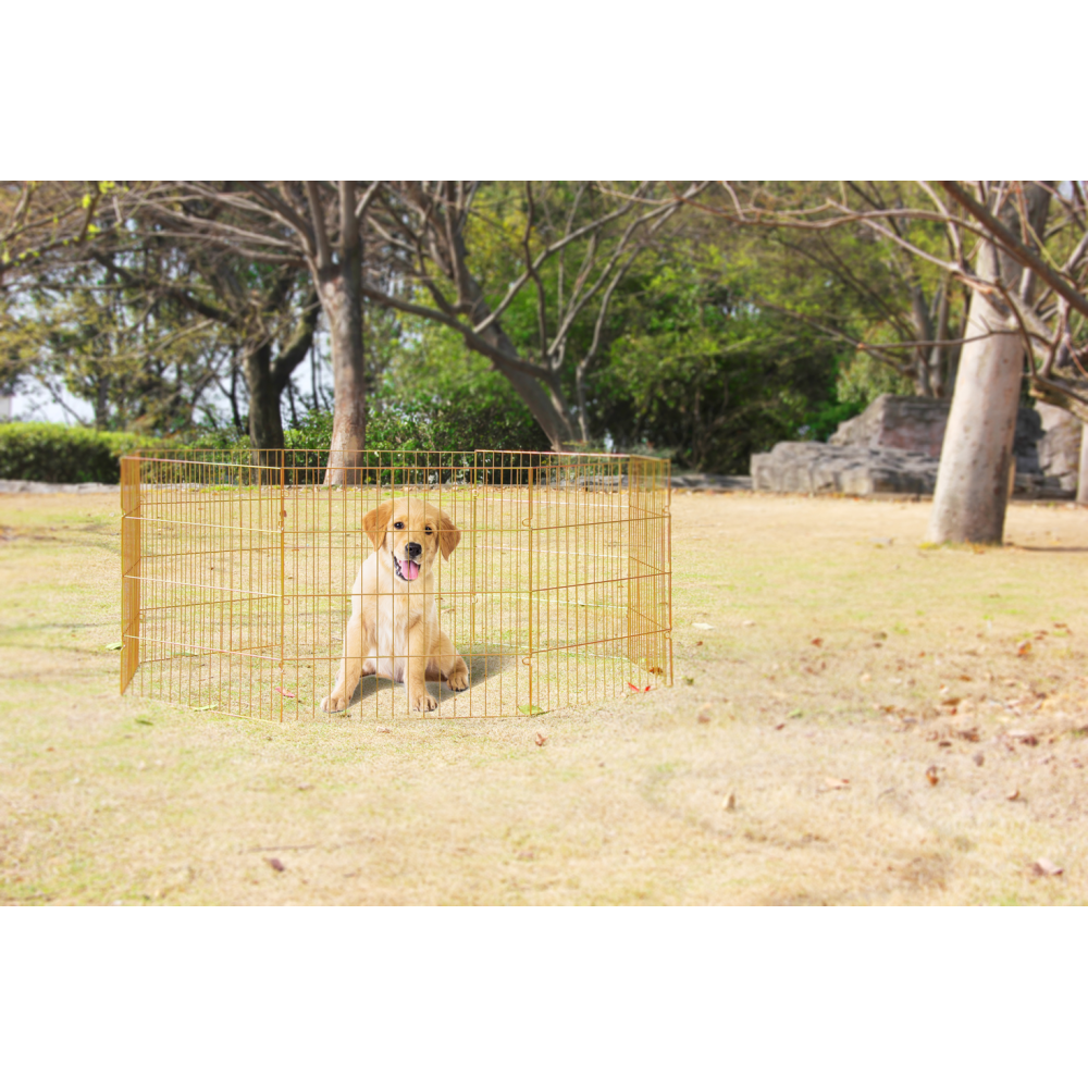 Parc de Jeu Pawise pour Chien - Taille S, Dimensions: 63x63x6 cm