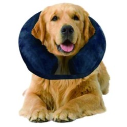 Protégez votre chien avec la Collerette Gonflable de Protection Pawise - Taille S