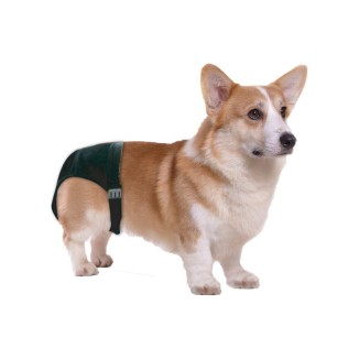 Culottes Sanitaires Pawise XS pour Chien