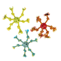 Jouet interactif Pawise Play-N-Tug pour chiens: Balle Multi-Cordes Fun