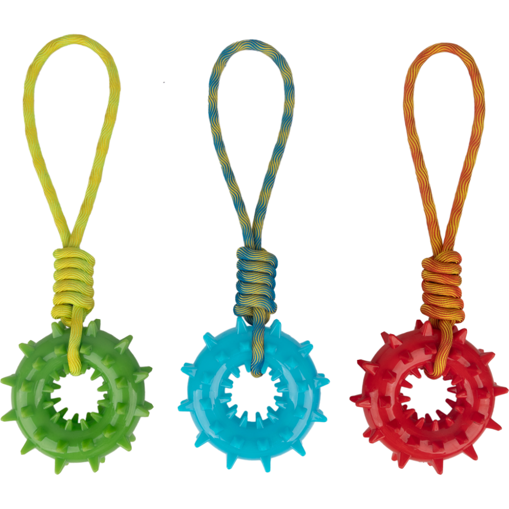 Jouet pour chien Pawise Play-N-Tug : Anneau de jeu interactif