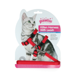 Harnais et Laisse Chatons Pawise Rouge/Bleu Taille S