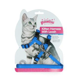 Harnais et Laisse Chatons Pawise Rouge/Bleu Taille S