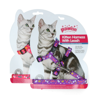 Ensemble Harnais et Laisse Chatons Pawise Rose/Violet