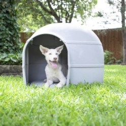 Niche pour Chien Husky Petmate : Confort et Protection Optimaux